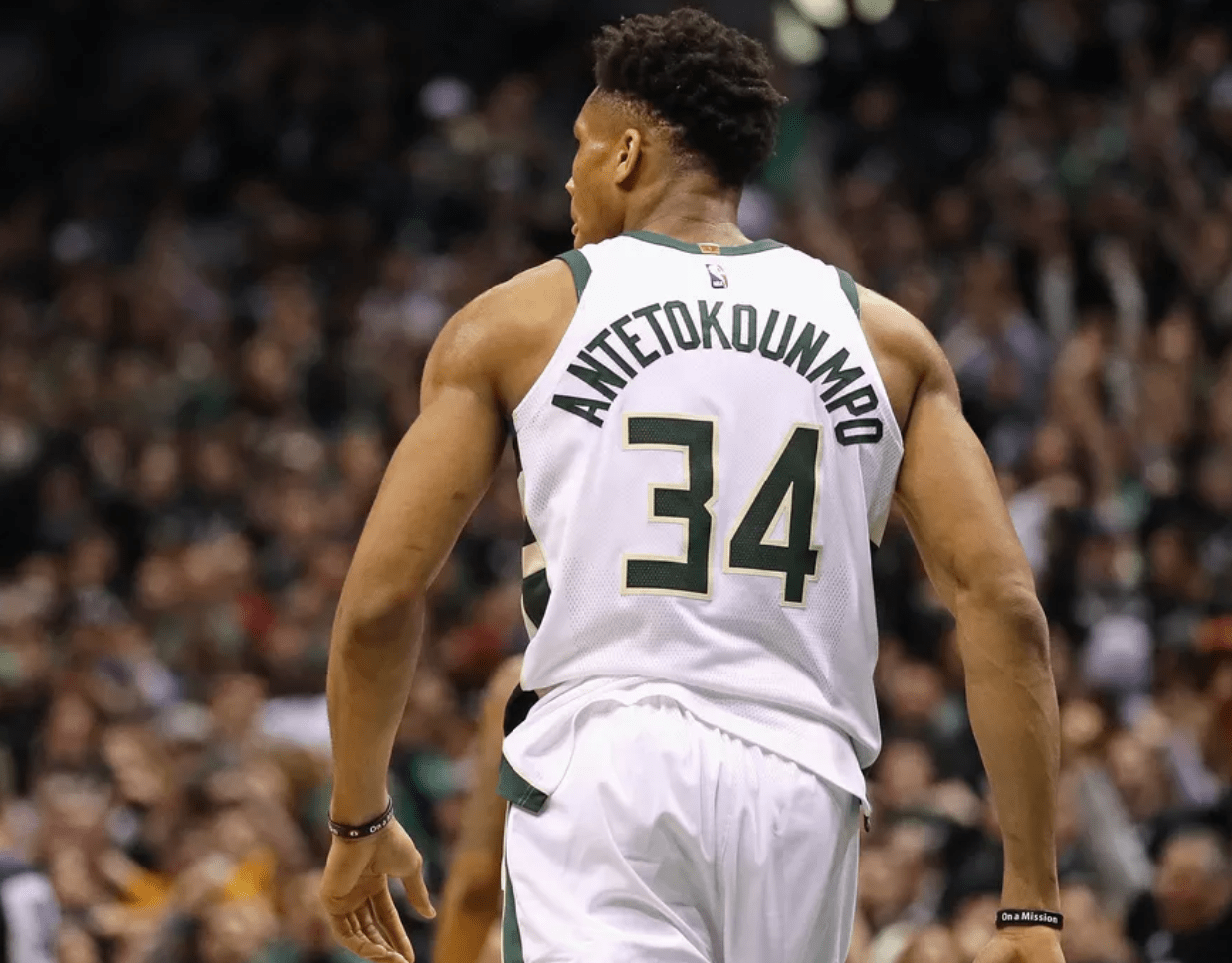 指标解读 指标解读