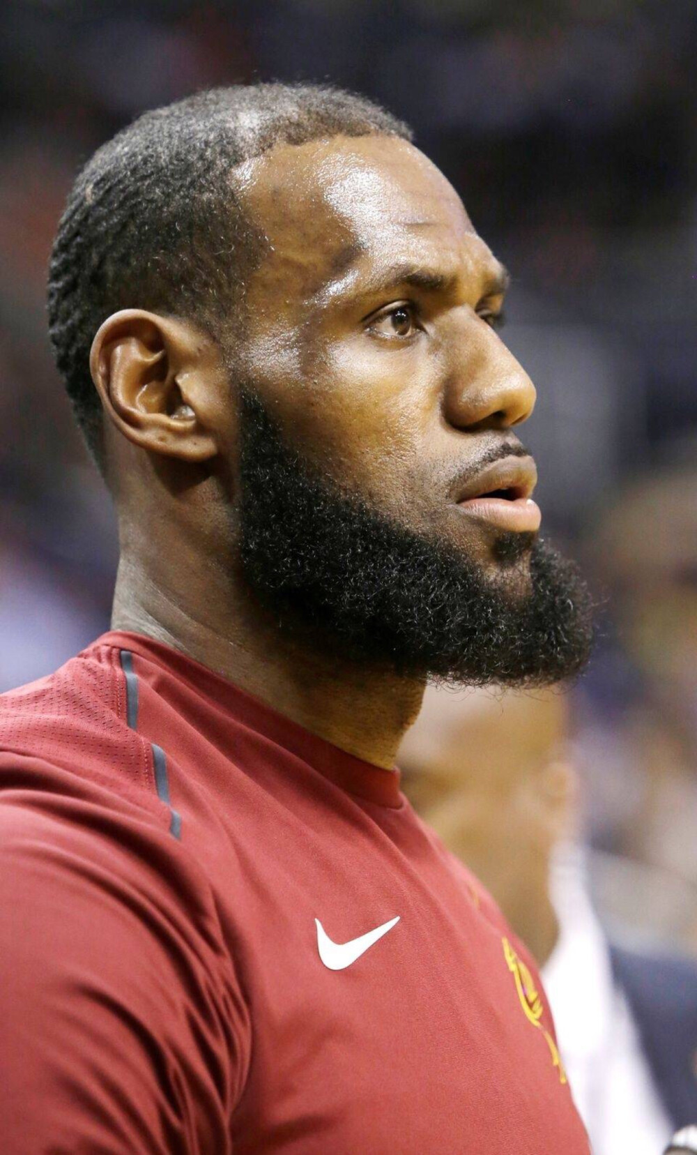 在他的体系 在他的体系