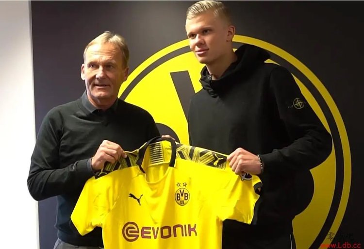 胜率约0 胜率约0